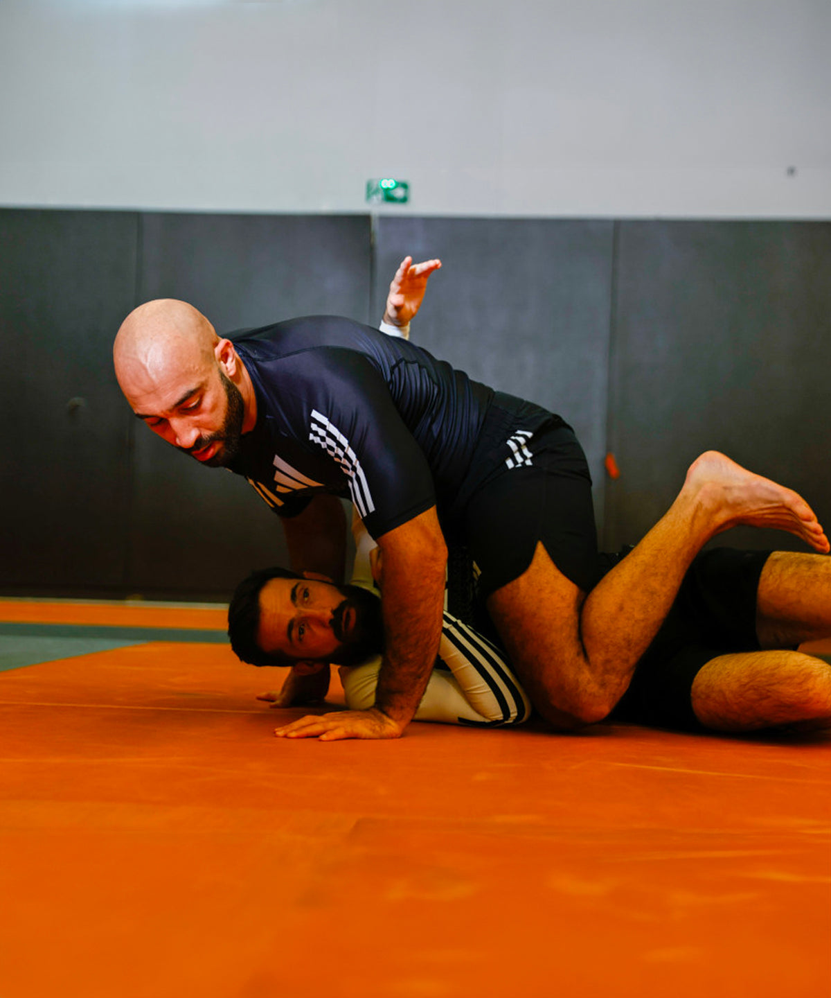 Adidas Grappling IBJJF Fightshorts - Negro