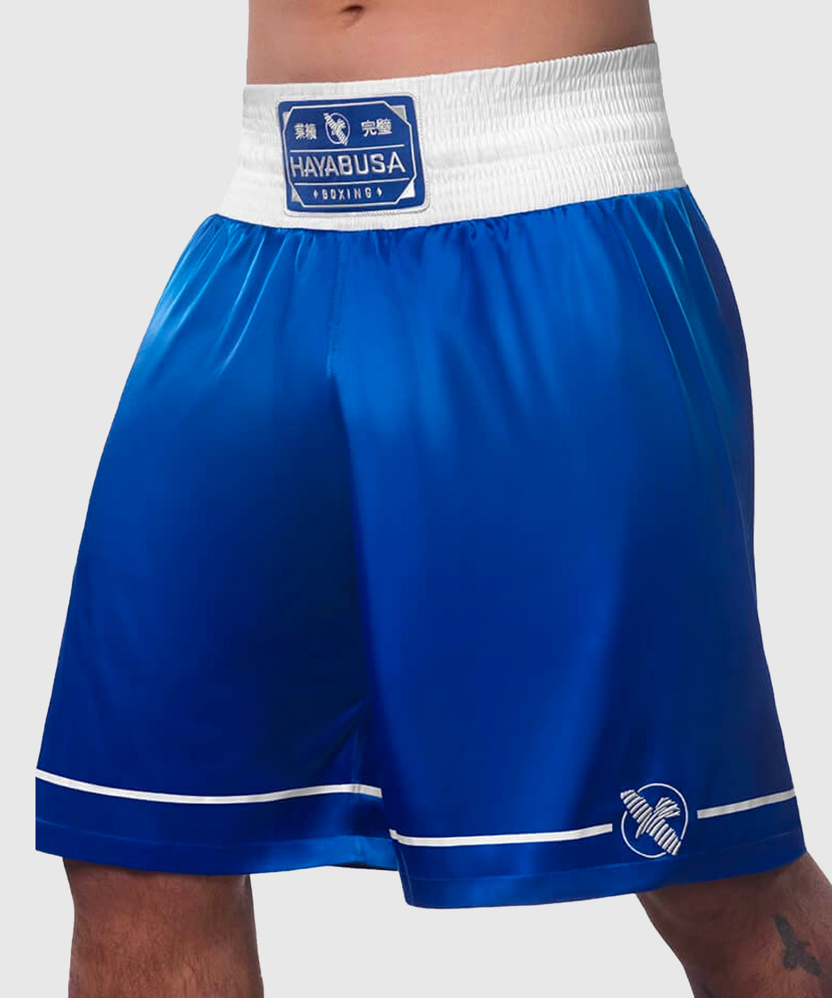 Hayabusa Boxen Fightshorts - Blau