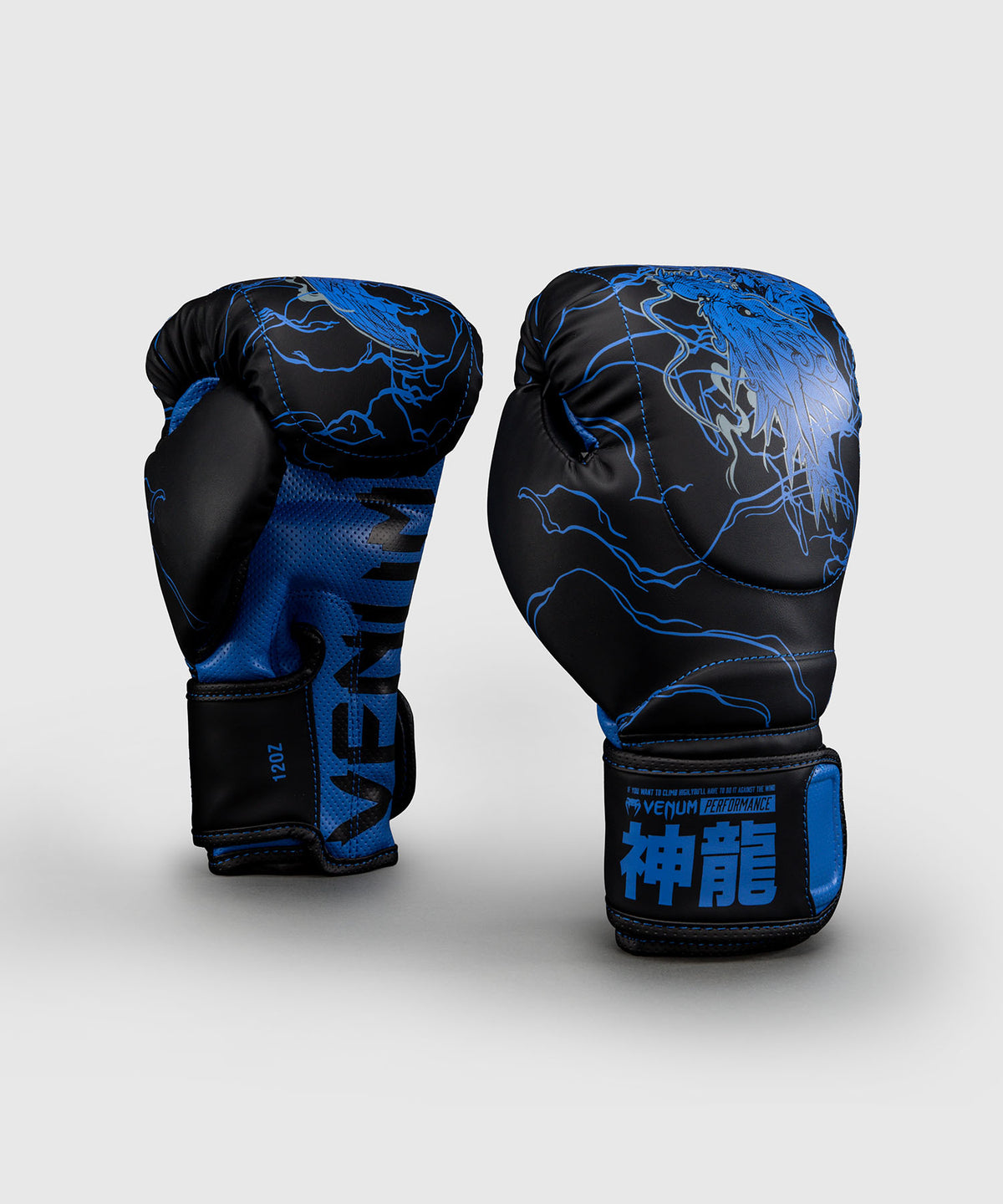 Venum Thunder Dragon Impact Evo Guantoni da boxe – Nero/Blu Reale