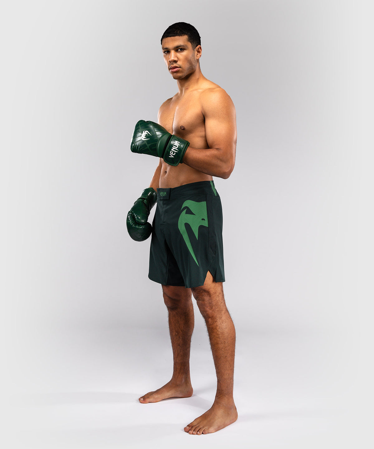 Venum Light 5.0 Fightshorts - Verde bosque/Verde claro