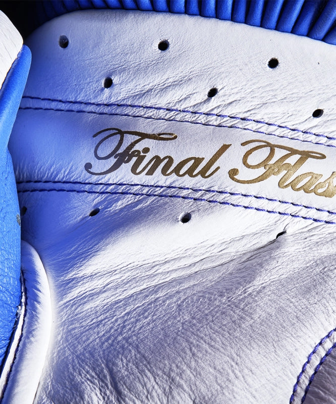 Elion X Dragon Ball Z Limited Edition Boxing Gloves - Vegeta