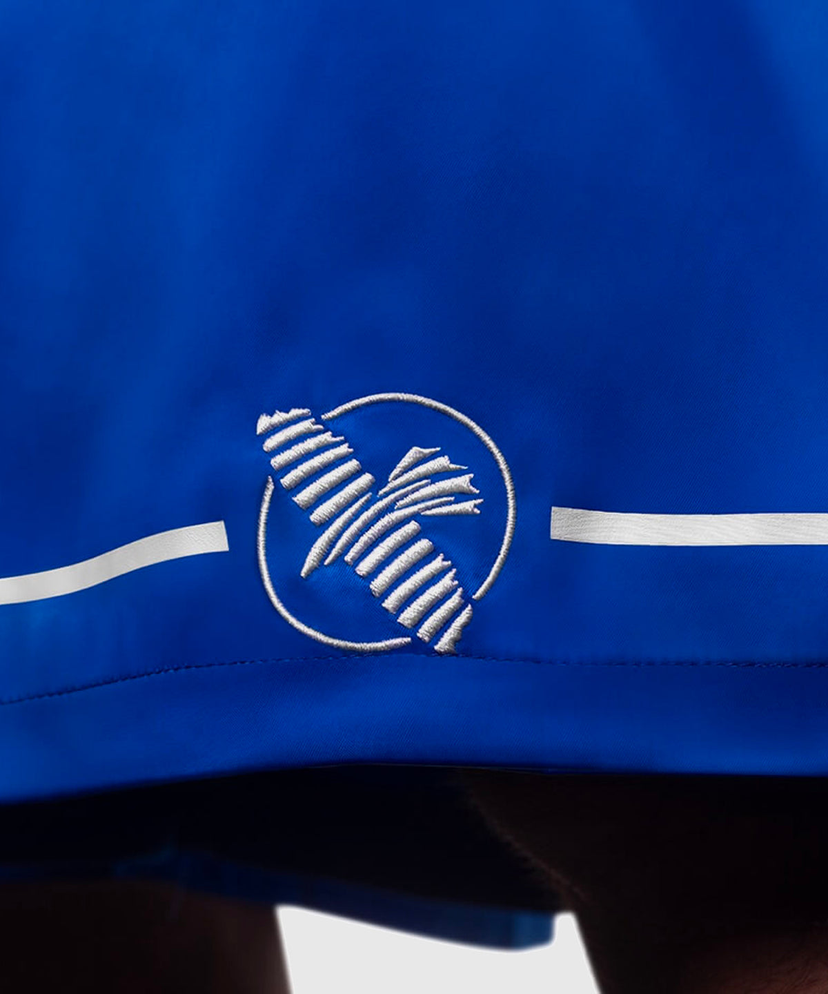 Hayabusa Boxen Fightshorts - Blau