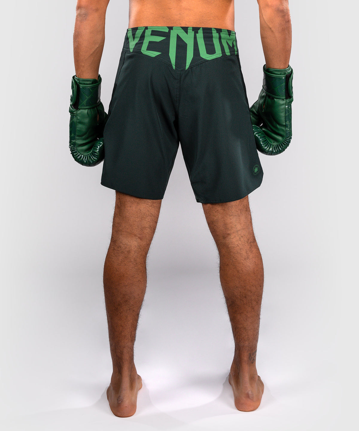 Venum Light 5.0 Fightshorts - Verde bosque/Verde claro