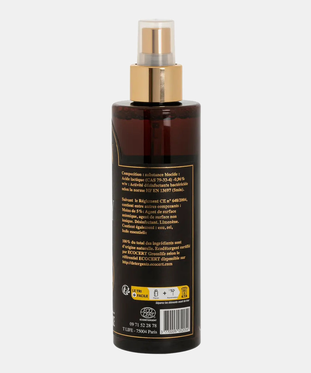 Clean Hugs X Elion Paris Cleaning Spray - Black
