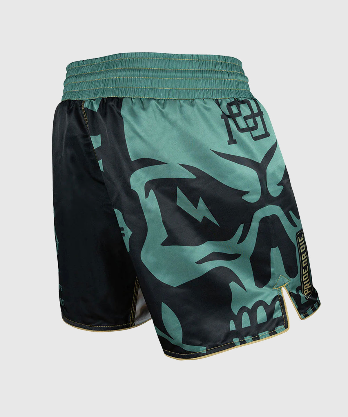 Pride Or Die No Surrender Fight Shorts