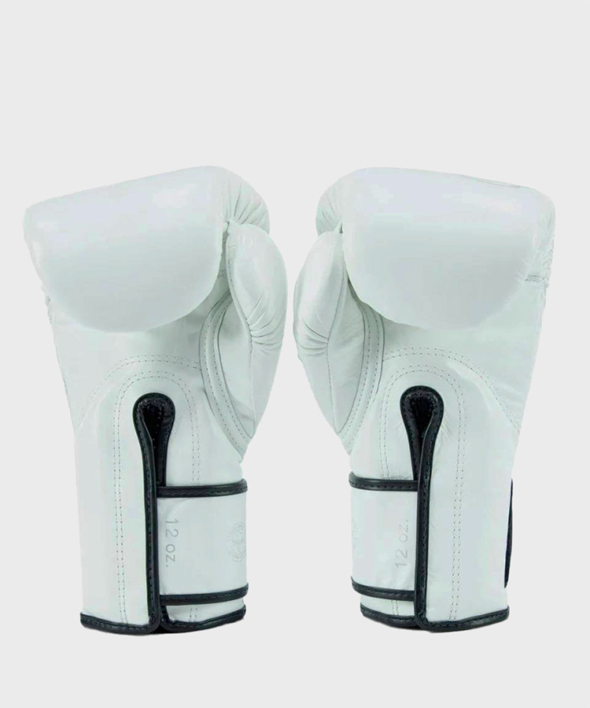 Gants de Boxe Fairtex X Glory - Blanc/Argent