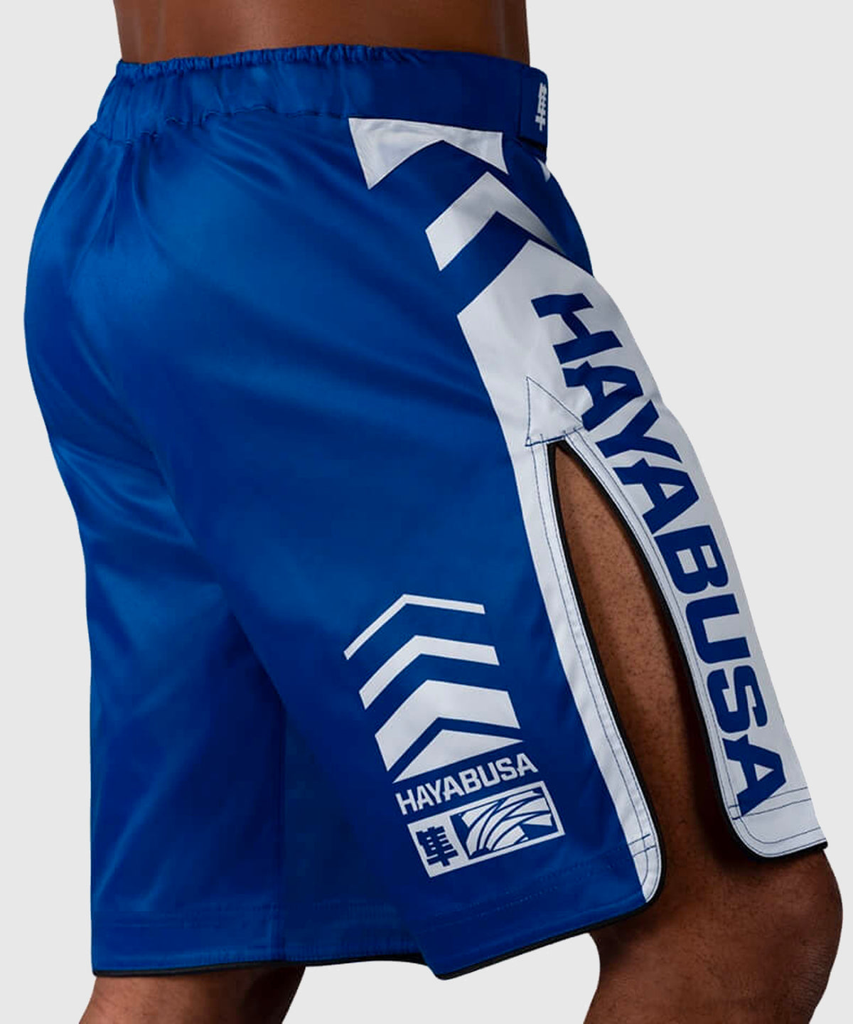 Hayabusa Icon Fight Shorts - Blue
