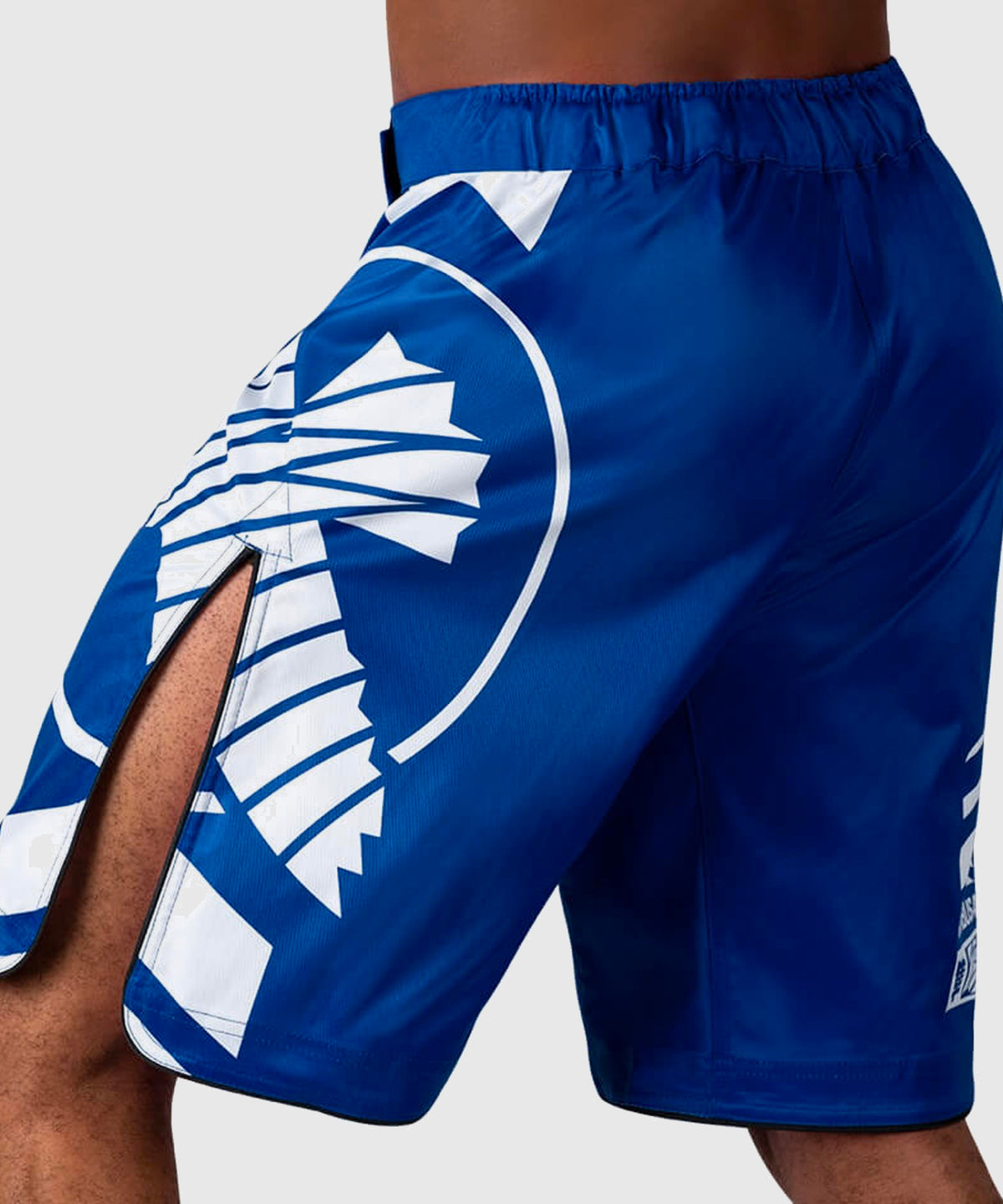Hayabusa Icon Fight Shorts - Blue