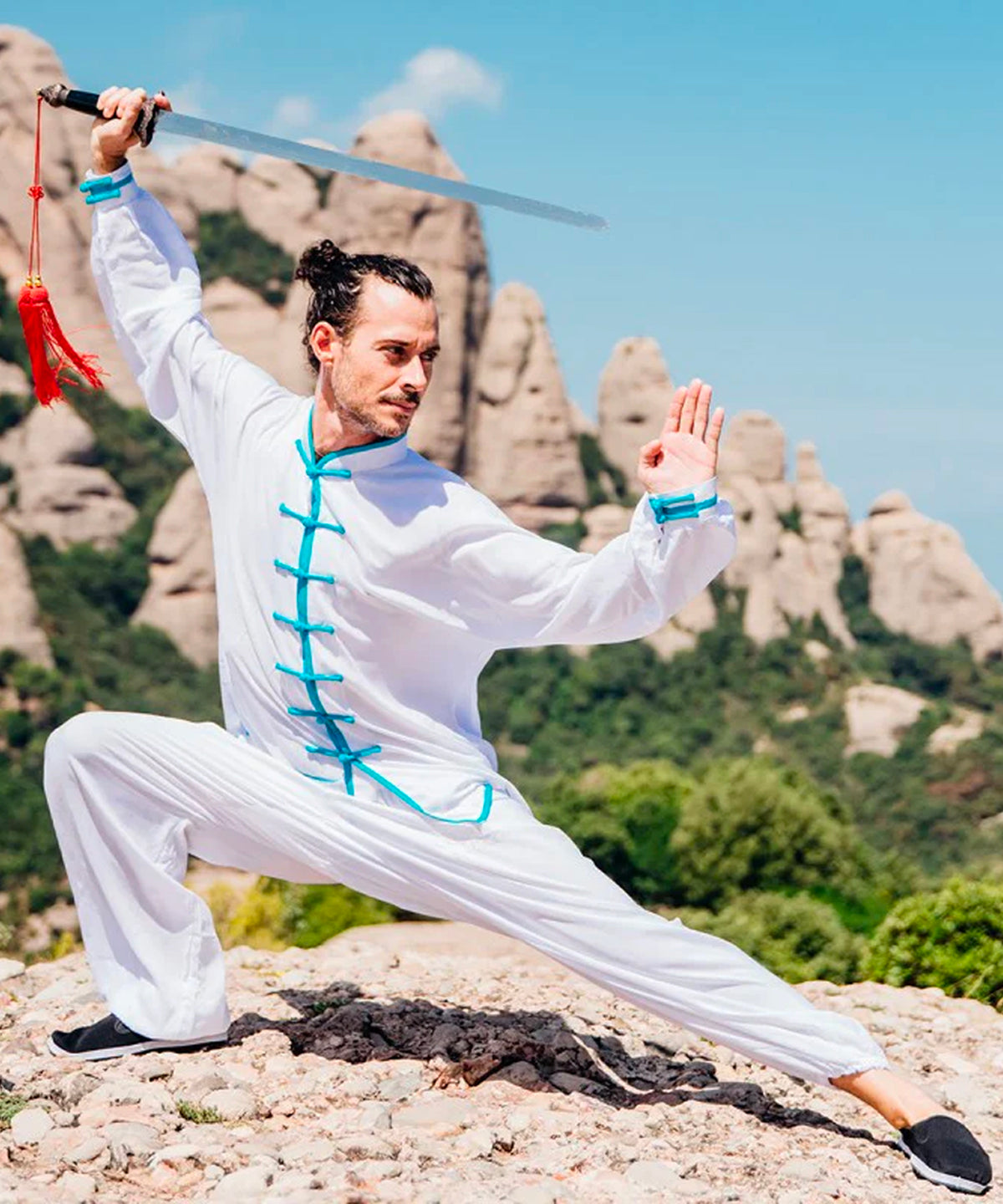 FujiMae Tai Chi Sword semi-flexible