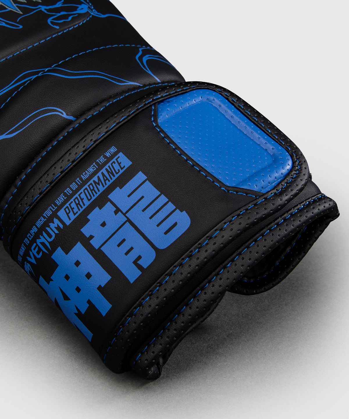 Venum Thunder Dragon Impact Evo Guantoni da boxe – Nero/Blu Reale
