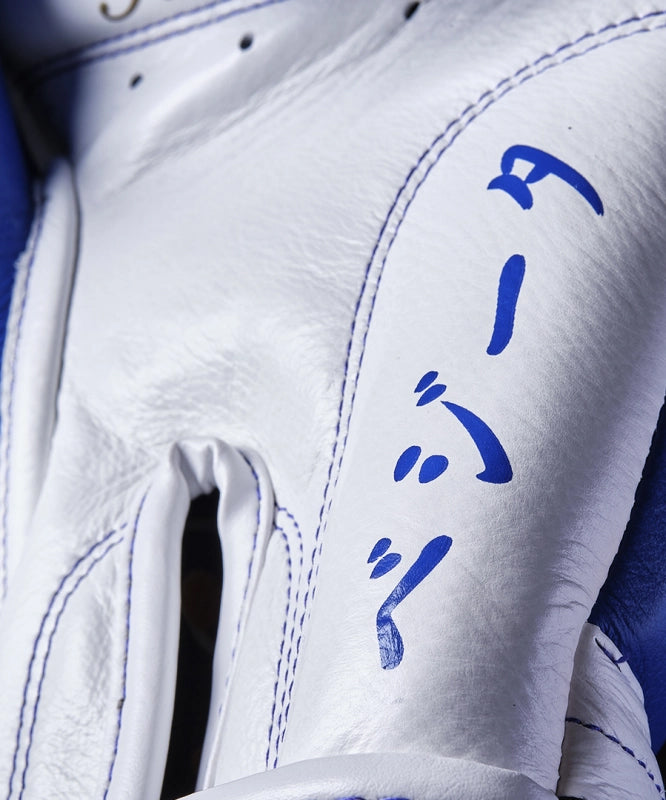 Elion X Dragon Ball Z Limited Edition Boxing Gloves - Vegeta