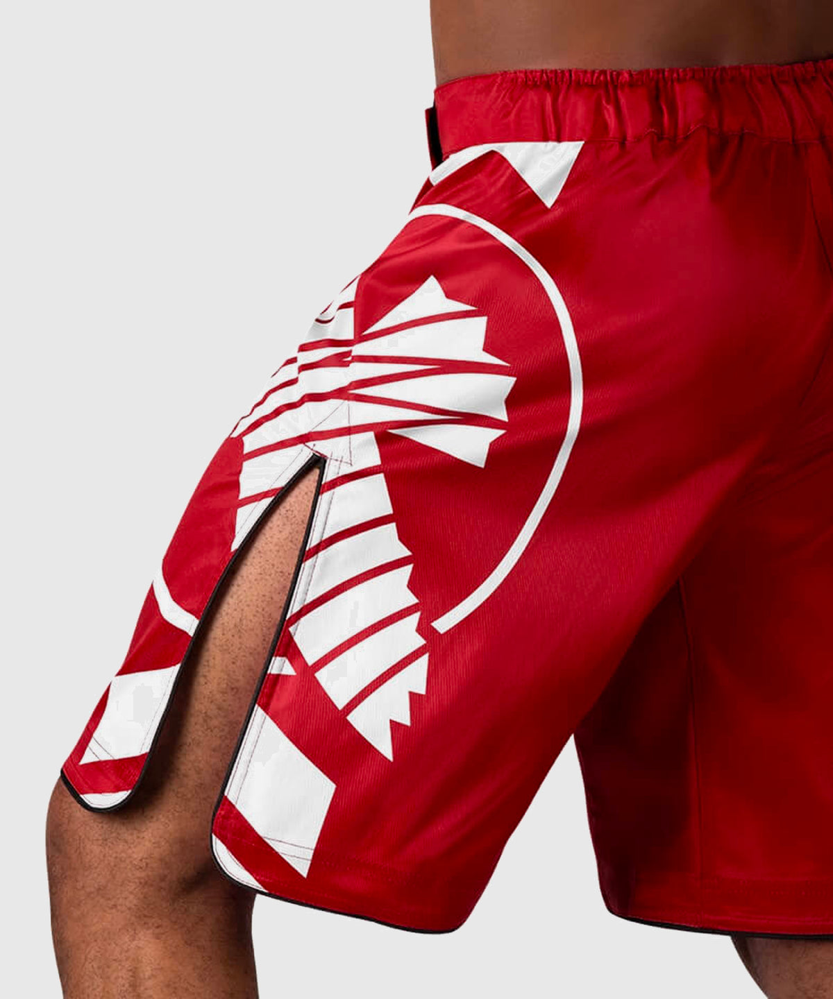 Hayabusa Icon Fightshorts - Rosso