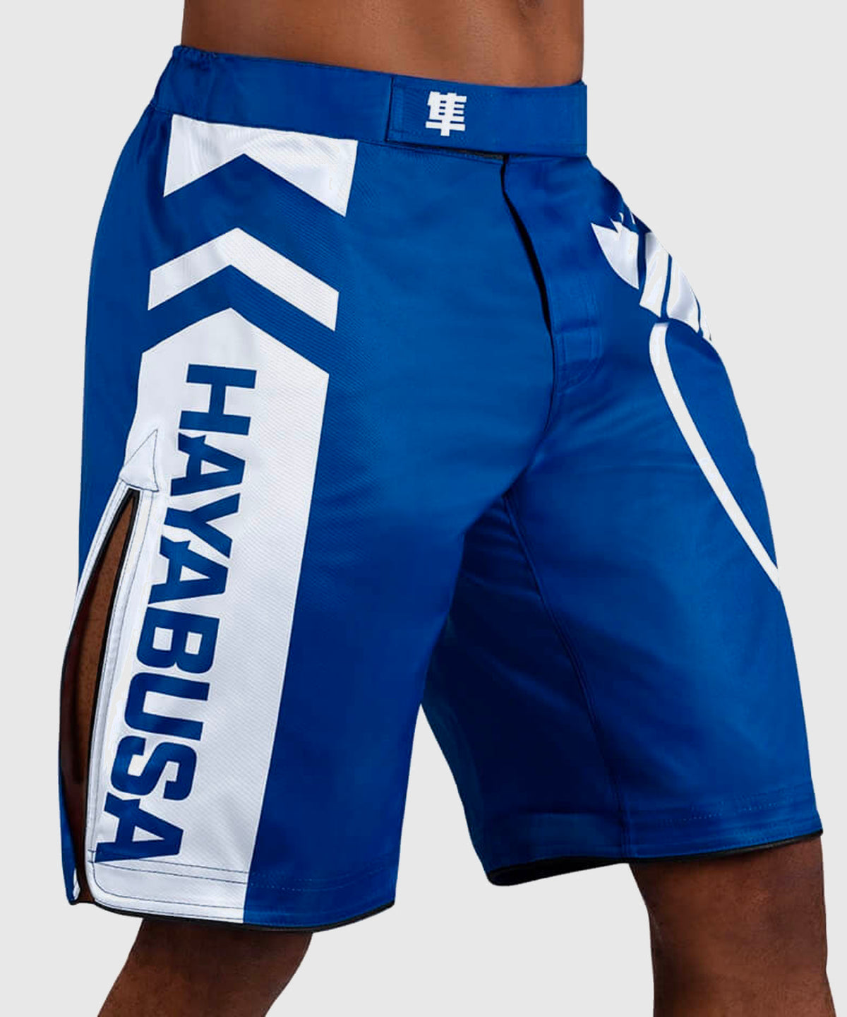 Hayabusa Icon Fight Shorts - Blue