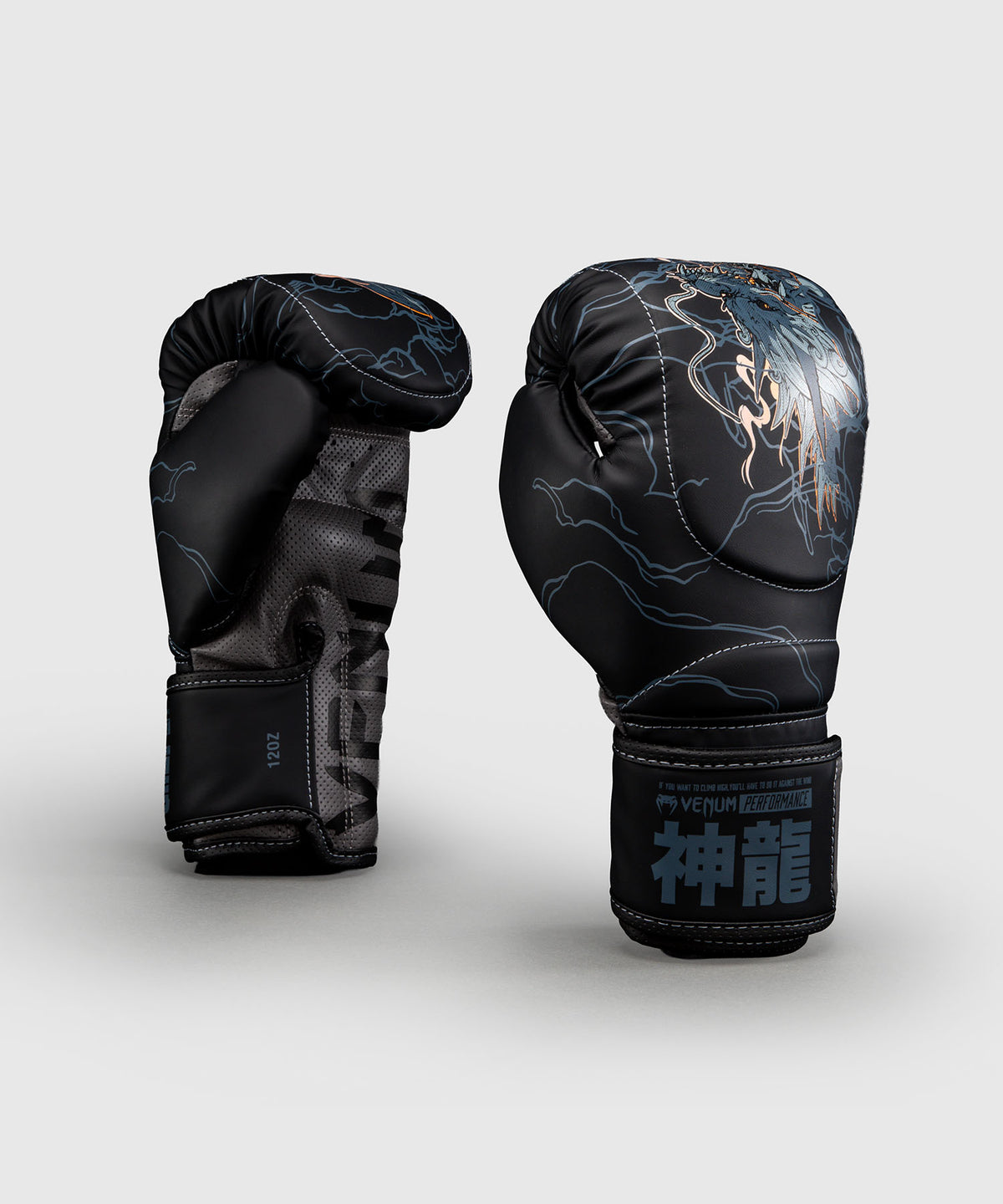 Venum Thunder Dragon Impact Evo Guantoni da boxe – Nero/Grigio/Rame