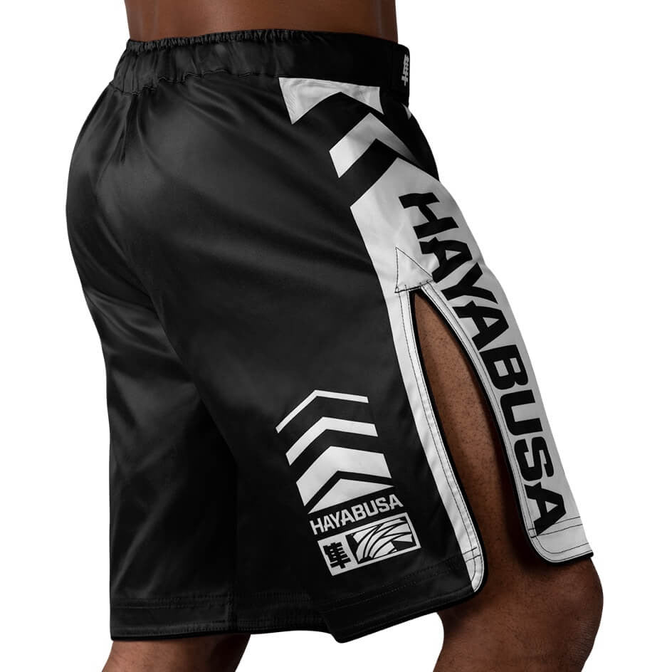 Hayabusa Icon Fightshorts