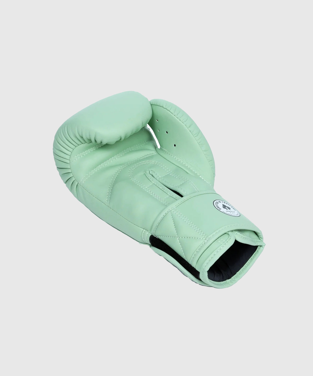 Gants de Boxe Infightstyle Pro Compact - Vert Pale